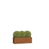 Sanremo Middelgrote plantenpot