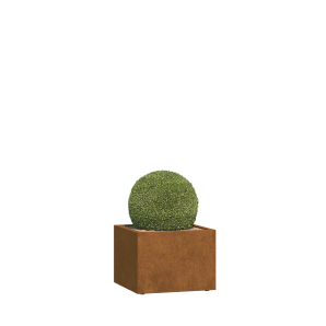 Plantpot Foggia