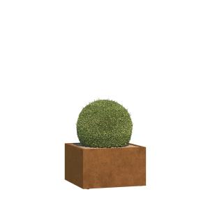 Plantpot Mantua