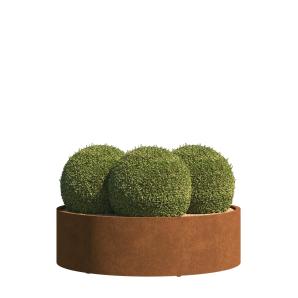 Plantpot Terni